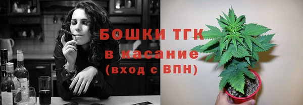 таблы Богородицк