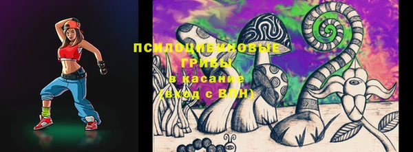 таблы Богородицк