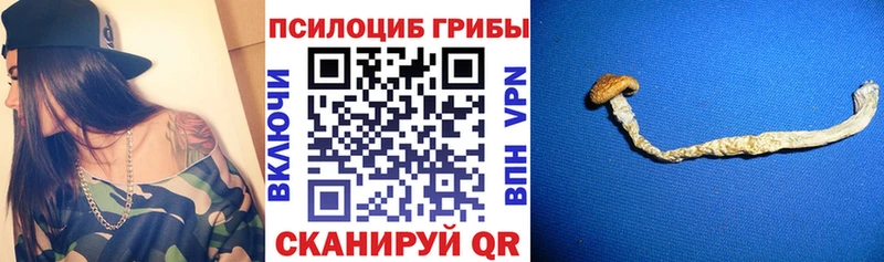 Псилоцибиновые грибы Magic Shrooms Данилов